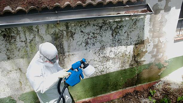 Top rated local Commercial Mold Remediation specialists in Estes Park, CO
